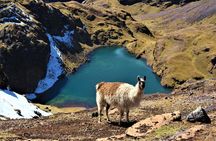 Ultimate Lares Trek & Inca Trail 5 days
