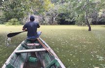Amazon Survival Tour 6D/5N