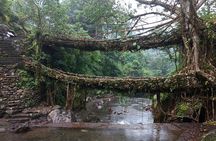 A Walk in the Clouds - Walking Holiday in Khasi Hills, Meghalaya, India