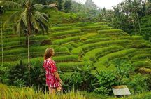 Full-Day in Bali: Private Design-Your-Own Tour