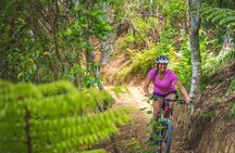 Explore the Waitangi MTB Park on Electric Bikes