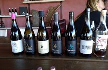 Wines Tasting and Typical Breakfast Small Group Tour from Girona