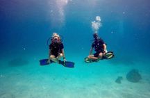 Try Scuba Diving