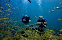 Try Scuba Diving