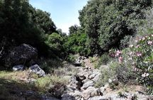 PRIVATE Hiking Walking GORGE nearby Hersonissos CRETE