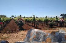 Ebike tours: Alberobello and the wines of Valle d'Itria