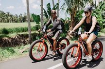 Private Fat Tire E-Bike Tour in Ubud