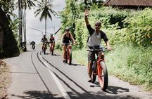 Private Fat Tire E-Bike Tour in Ubud