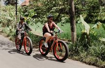 Private Fat Tire E-Bike Tour in Ubud