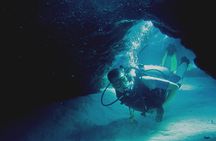 Local Guided Dives (for certified/licensed divers)