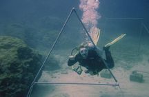 Local Guided Dives (for certified/licensed divers)