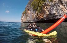 Premium Guided Scuba Diving Day Trip for Certified Divers