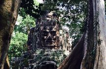 A Day Angkor Park Tours - Private English Speaking Tour Guide 