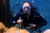 Diving