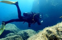 Diving