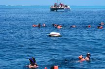 Snorkel Adventure! Jungle Tour, Puerto Morelos or Catamaran Sail