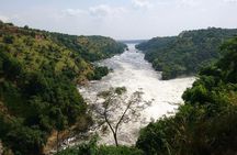 5 Days Uganda Wildlife Tour & Chimpanzee Habituation Experience