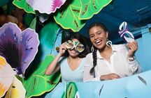 Go City: New Orleans All-Inclusive Pass