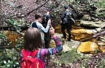 Half Day Tour- Jaguar Jungle Survival - Amazon Rainforest - From Manaus
