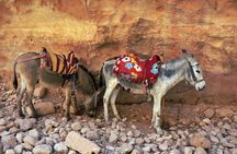 Full Day Treasure of Jordan Petra Tour with Pickup Included