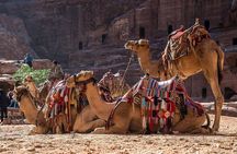 Full Day Treasure of Jordan Petra Tour with Pickup Included