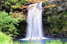 Small-Group Luxury Tour: Road to Hana and Ka'eleku Cavern Day Trip