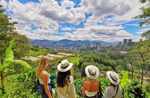 Coffee & Horses Private Tour in Medellin: A Fun & Authentic Day
