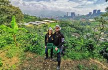 Coffee & Horses Private Tour in Medellin: A Fun & Authentic Day