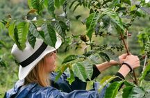 Private Guatape & Coffee Farm Tour: The Two Must do in One Day