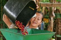 Private Guatape & Coffee Farm Tour: The Two Must do in One Day