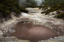 Tauranga to Rotorua Geysers & WaioTapu Wonderland. Private Tour 