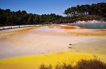 Tauranga to Rotorua Geysers & WaioTapu Wonderland. Private Tour 