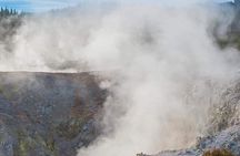 Tauranga to Rotorua Geysers & WaioTapu Wonderland. Private Tour 