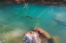 Erawan Waterfall and Elephant Care: Private Tour to Kanchanabur