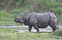 3 Days Jungle Safari in Chitwan National Park