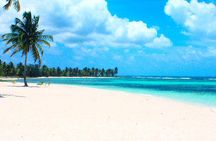 Saona Island VIP - Full Day All Inclusive Excursion!