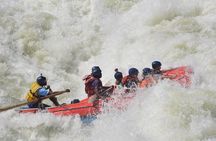Victoria Falls: Whitewater Rafting + Chobe Safari Combo