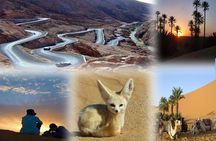 fes to marrakech desert tour 3 days