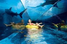 Aquaventure and Lost Chamber with Transfers