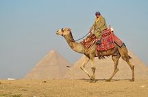 Half day Guided Tours to Giza Pyramids & Sphinx
