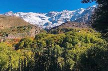 Atlas Mountains Day Trip with Camel Ride from Marrakech including lunch 