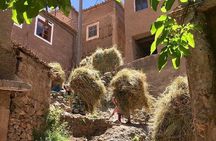 Atlas Mountains Day Trip with Camel Ride from Marrakech including lunch 