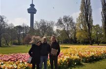 Rotterdam in half a day: All-inclusive, Authentic private Tour of Rotterdam