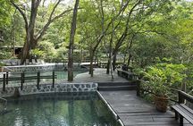 Private Rincon de la Vieja Volcano Adventure Tour From Dreams Las Mareas
