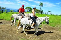 Private mega combo adventure tour Canopy Horseback Ride Water Slide and Natural Hot Springs