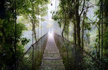 Arenal Hanging Bridges in Mistico Park