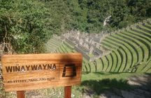 Short Inca trail to MachuPicchu || 2days - 1nigth ||