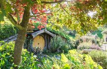 Tauranga to Magical Hobbiton Movie Set - Private Shore Excursion.