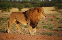 Day Tours In Nairobi