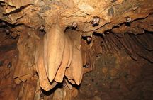 Caving Tour in Rishikesh - 6 Hrs.